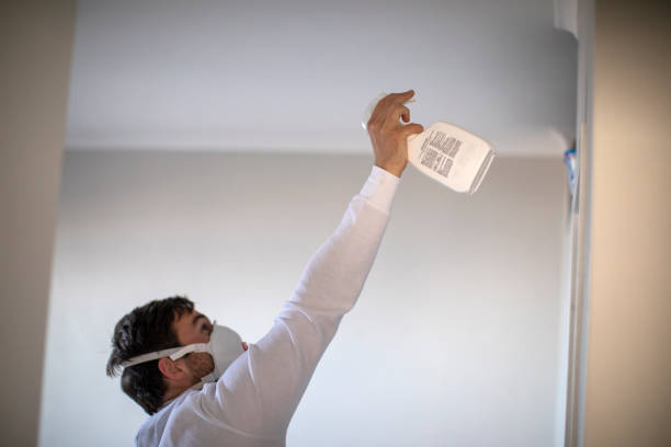 Best Mold Testing and Removal  in Columbus, MN