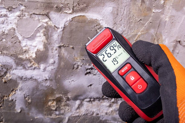 Attic Mold Removal in Columbus, MN