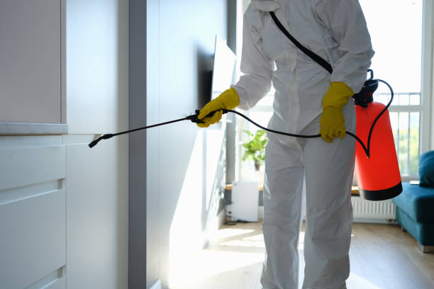 Best Mold Testing  in Columbus, MN