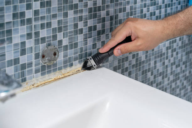 Best Certified Mold Removal  in Columbus, MN