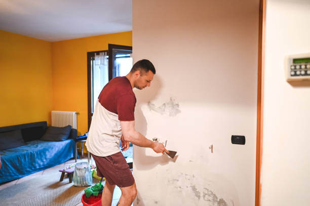 Best Attic Mold Removal  in Columbus, MN
